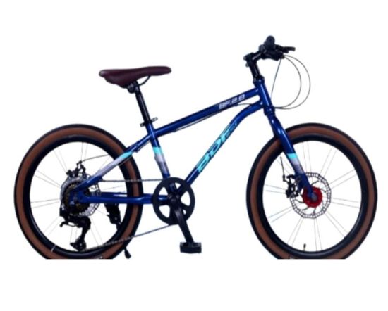 صورة دراجة هجين مقاس 22